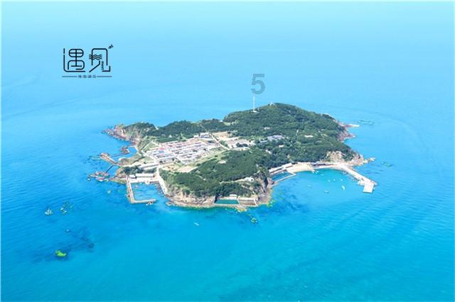 动物帮帮忙保卫家园