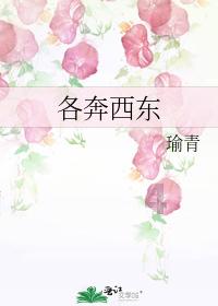 逃离公司办公室