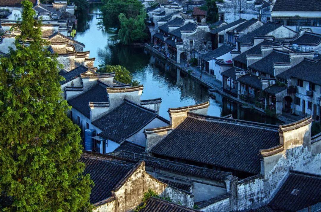 代表委员说丨河南省政协委员柳青:做强做实郑州高新区 服务现代化河南建设